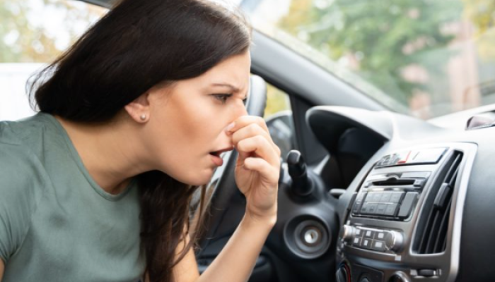 Car Odor Removal