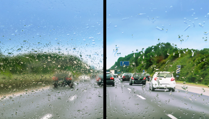 Coated Windshield